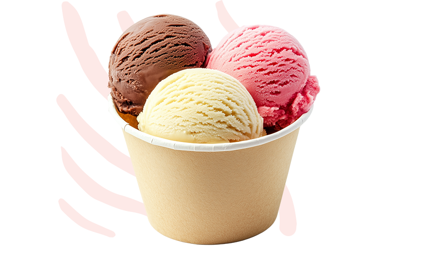 Bienvenue  dans l’univers